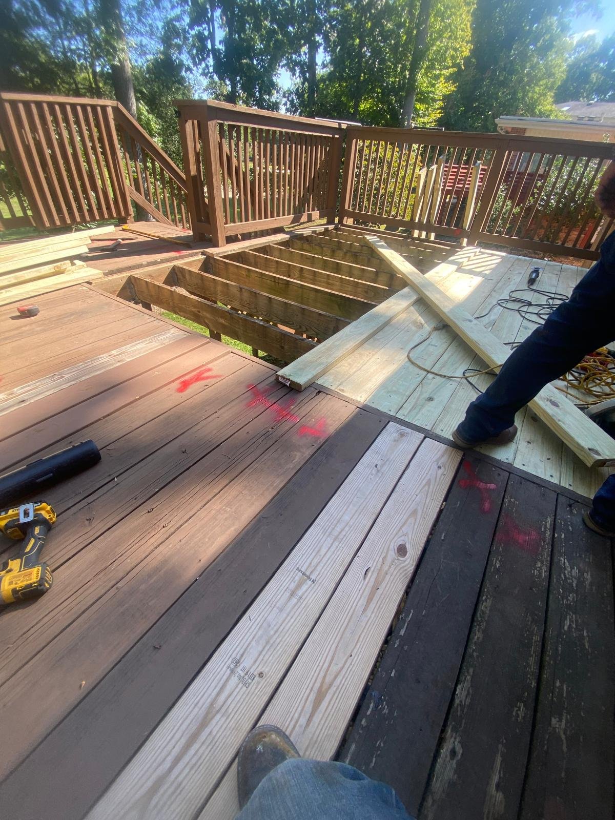 Detailed lawn and landscape care